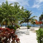 listing image thumbnail with ID 84228