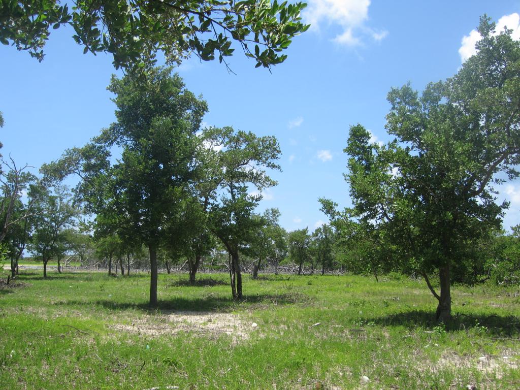 listing image with ID 76958
