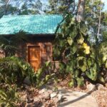 listing image thumbnail with ID 105221