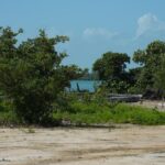 listing image thumbnail with ID 88520