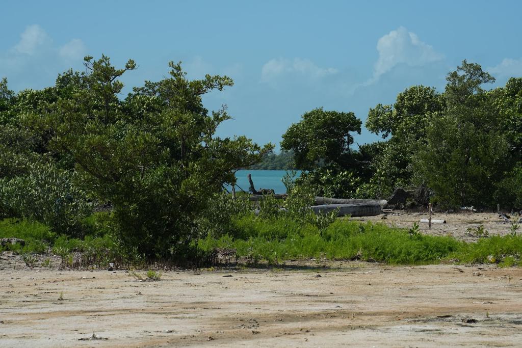 listing image with ID 88520