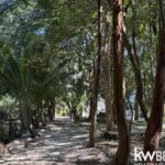 listing image thumbnail with ID 108719