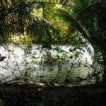 listing image thumbnail with ID 92465