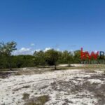 listing image thumbnail with ID 84991