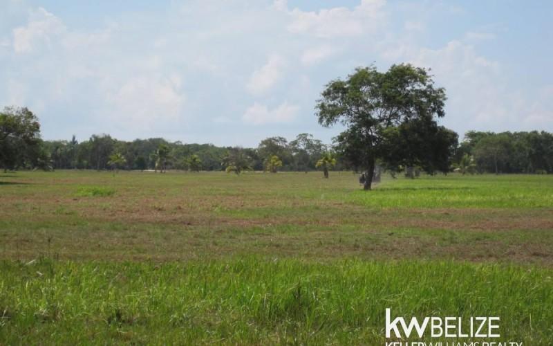 listing image with ID 75662