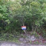 listing image thumbnail with ID 95803