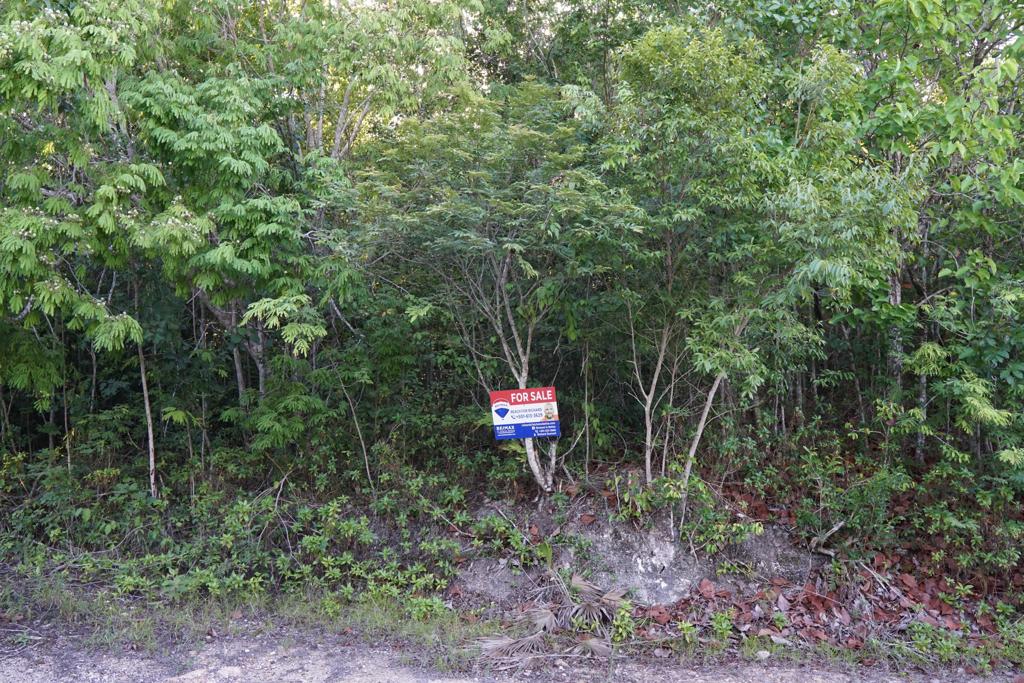 listing image with ID 95803