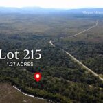 listing image thumbnail with ID 93926