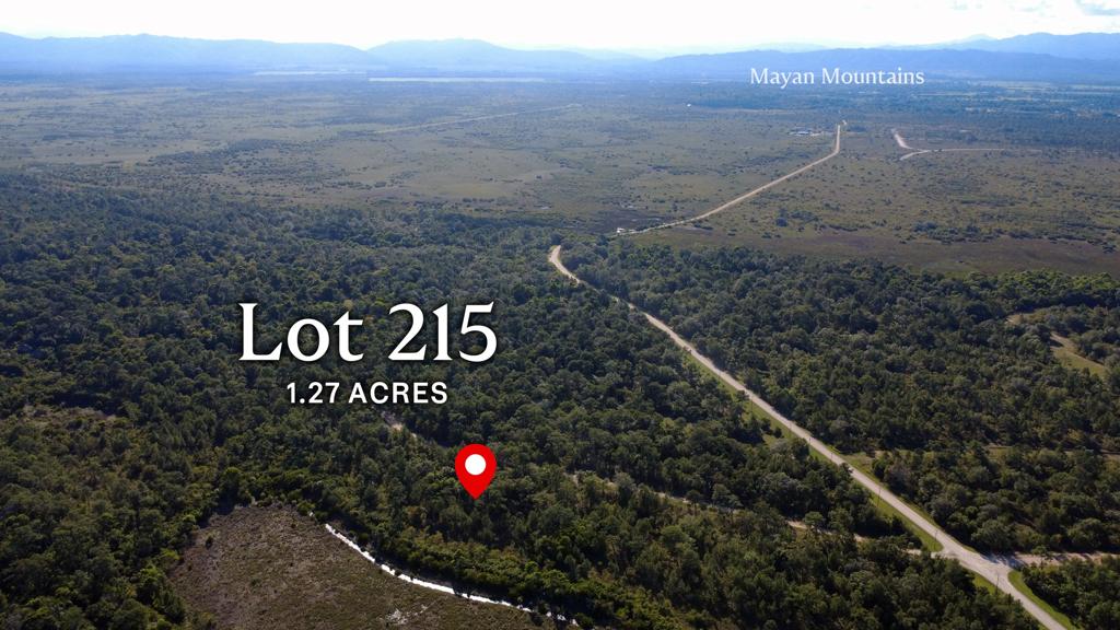 listing image with ID 93926