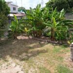 listing image thumbnail with ID 81636