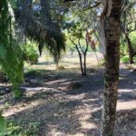 listing image thumbnail with ID 79540