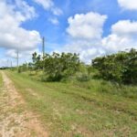 listing image thumbnail with ID 95116