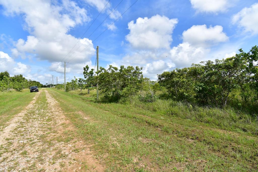 listing image with ID 95116