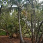 listing image thumbnail with ID 101609