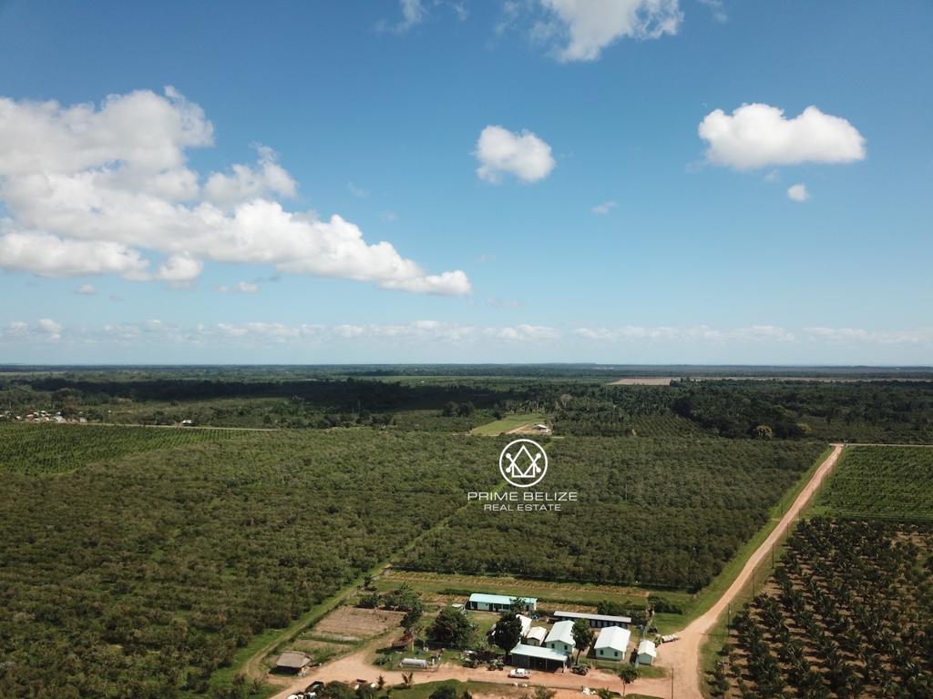 listing image with ID 95507