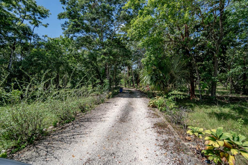 listing image with ID 82003