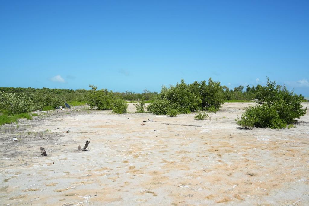 listing image with ID 88519