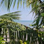 listing image thumbnail with ID 80344