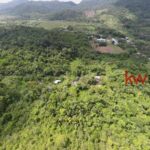 listing image thumbnail with ID 91061