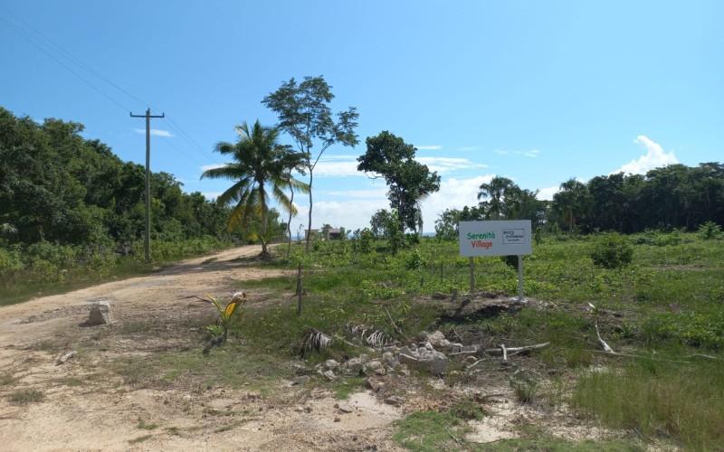 listing image with ID 91448