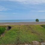 listing image thumbnail with ID 80342