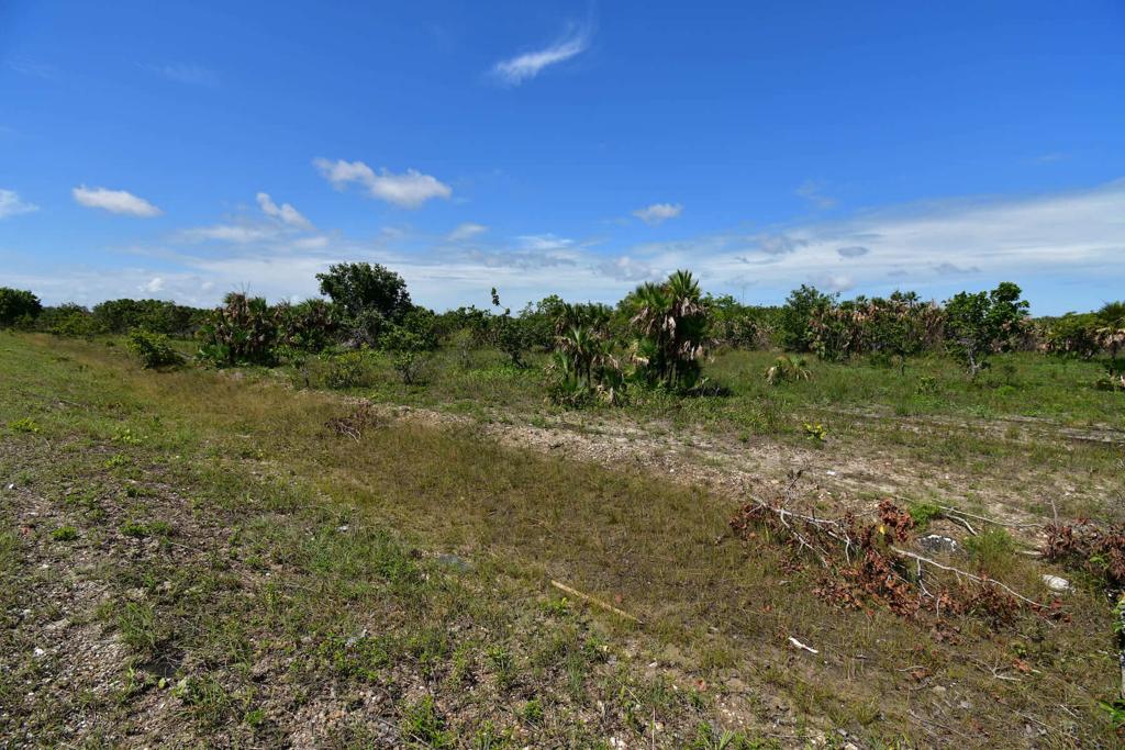 listing image with ID 86346