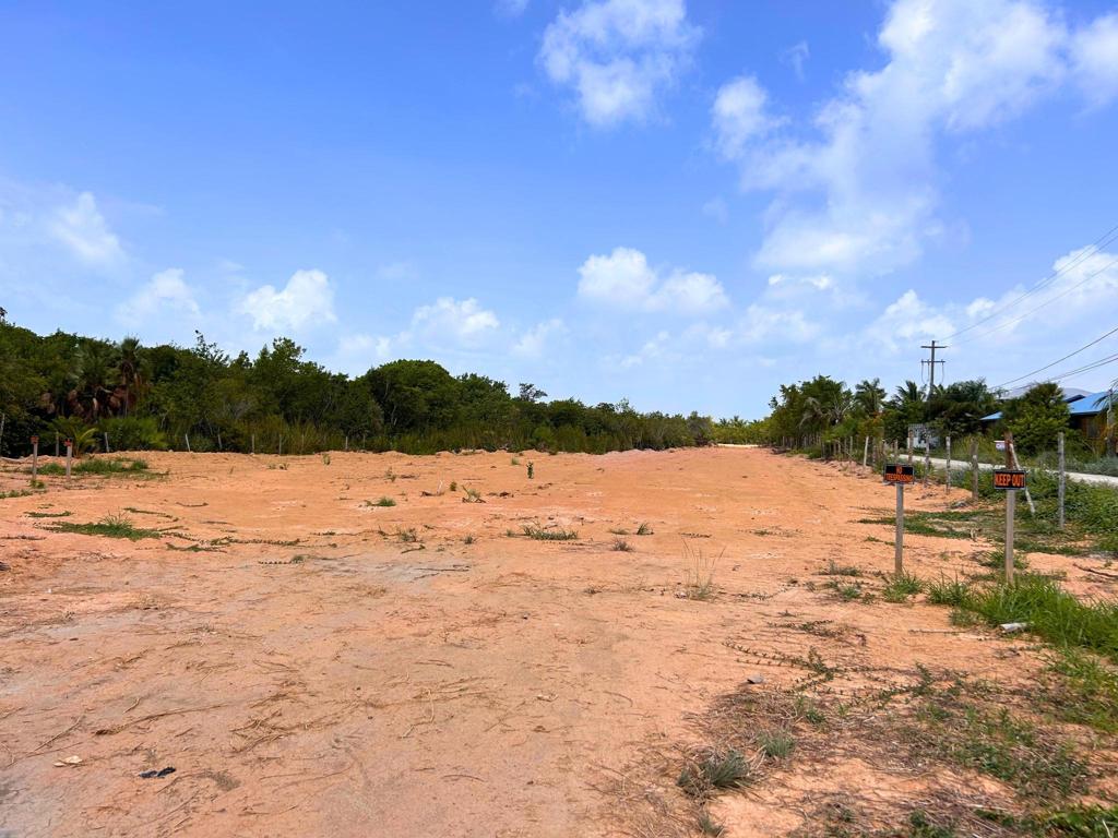 listing image with ID 97391