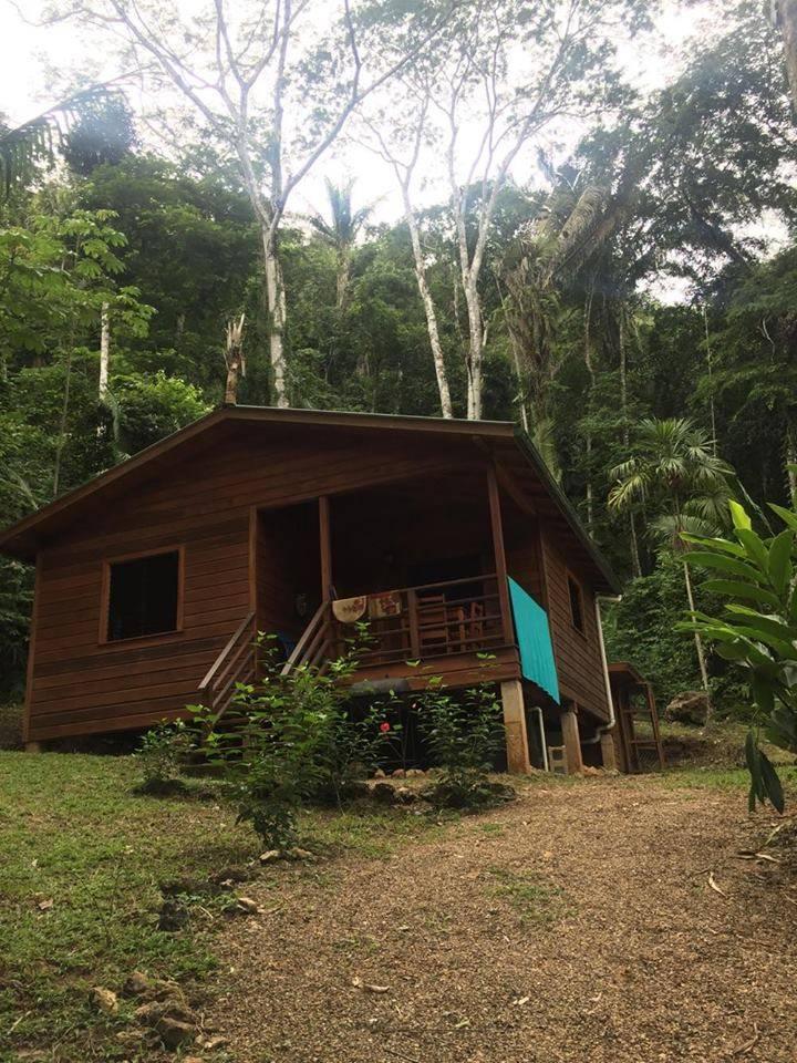 listing image with ID 106206