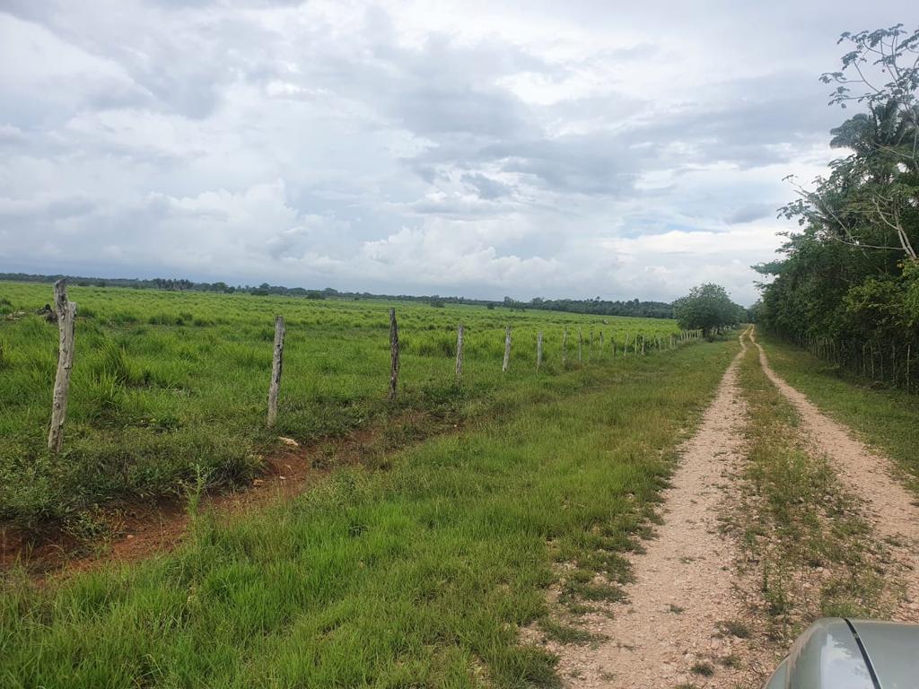 listing image with ID 98286