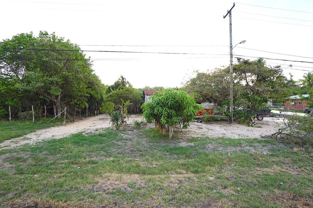 listing image with ID 107574