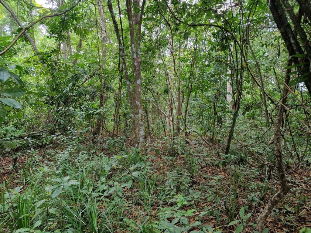 listing image with ID 76826