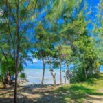 listing image thumbnail with ID 80269
