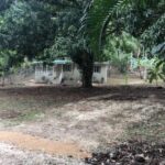listing image thumbnail with ID 99476