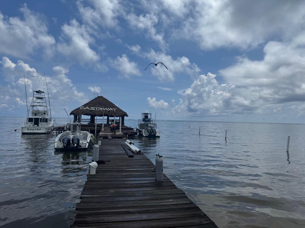 listing image with ID 79087