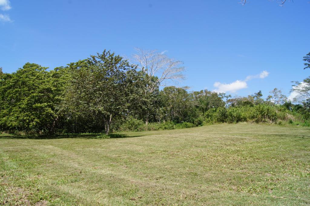 listing image with ID 95469