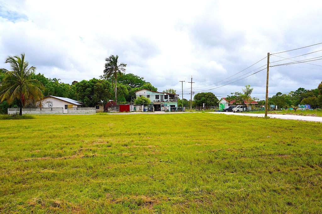 listing image with ID 94207