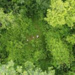listing image thumbnail with ID 96593