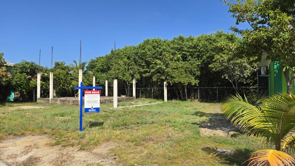 listing image with ID 100001