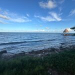 listing image thumbnail with ID 93560