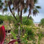 listing image thumbnail with ID 74623