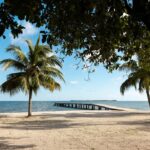 listing image thumbnail with ID 94813