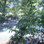 listing image thumbnail with ID 98970