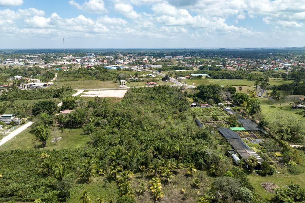 listing image with ID 93918