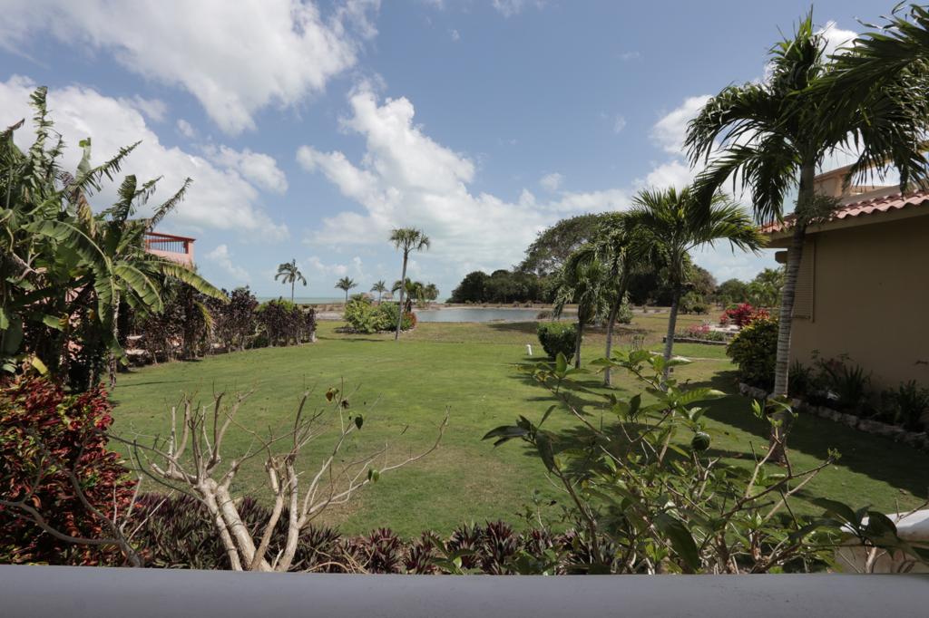 listing image with ID 92569