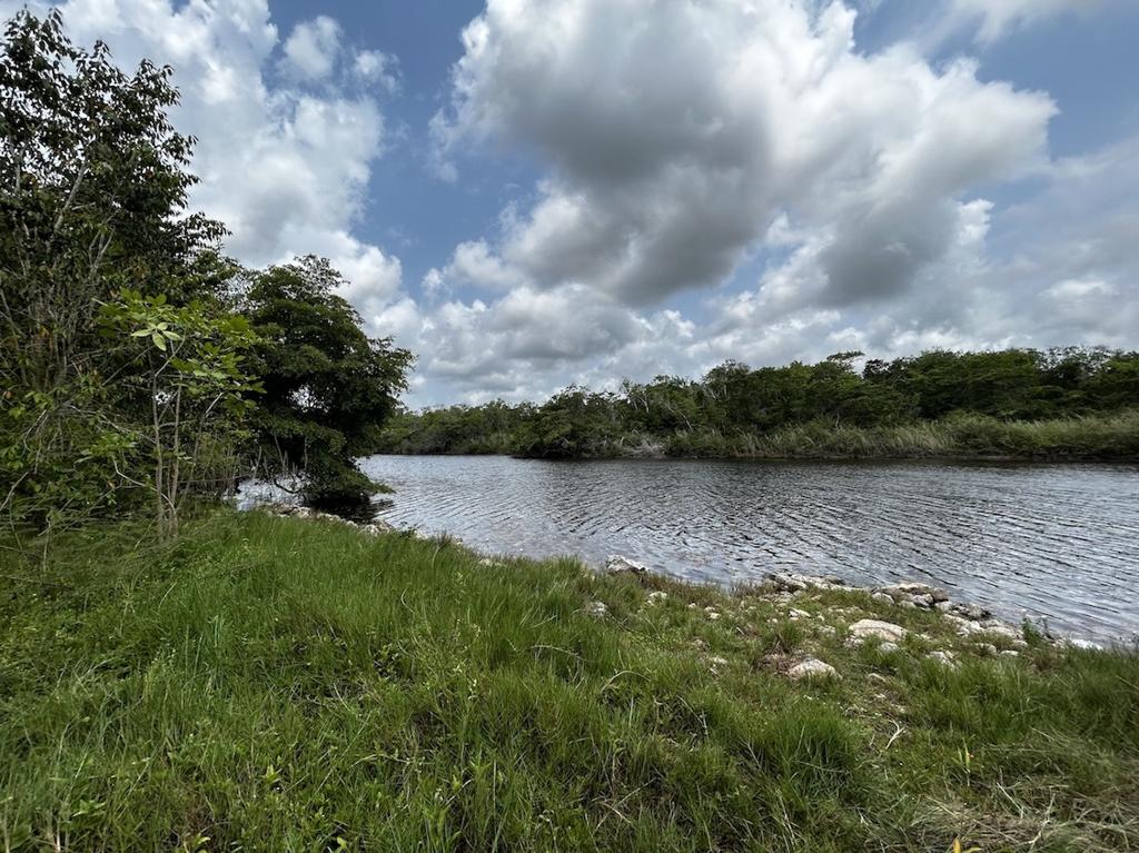 listing image with ID 92333