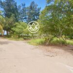 listing image thumbnail with ID 105399