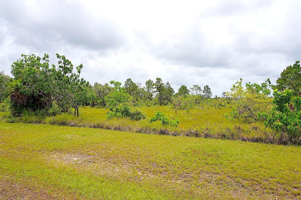listing image with ID 82663