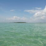 listing image thumbnail with ID 100220