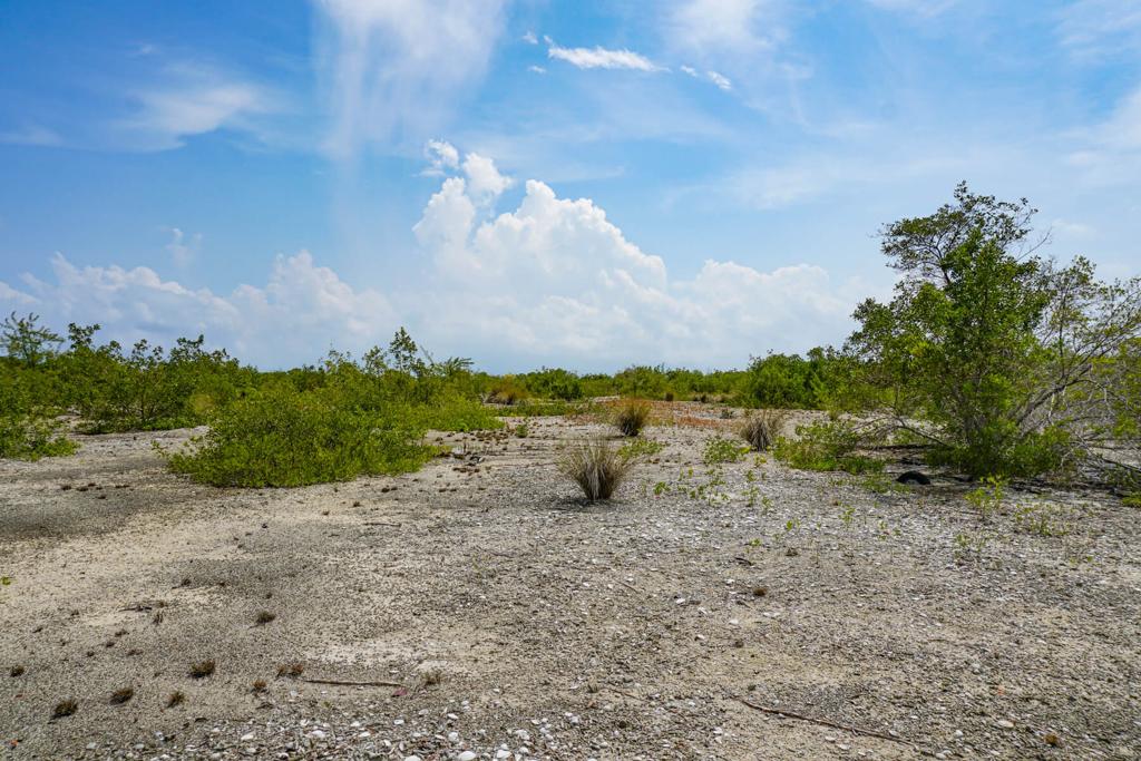 listing image with ID 74666