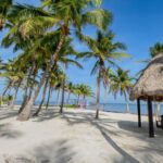 listing image thumbnail with ID 83791